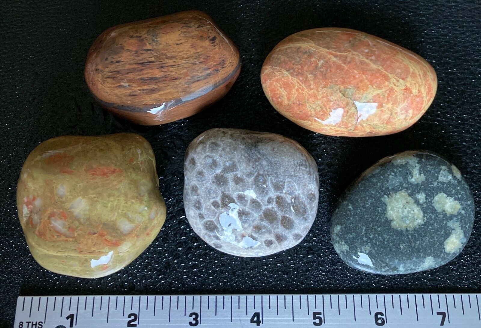 5pc Michigan Gems - Unakite Banded Rhyolite Petoskey Stone Porphyry Quartz 1.9lb