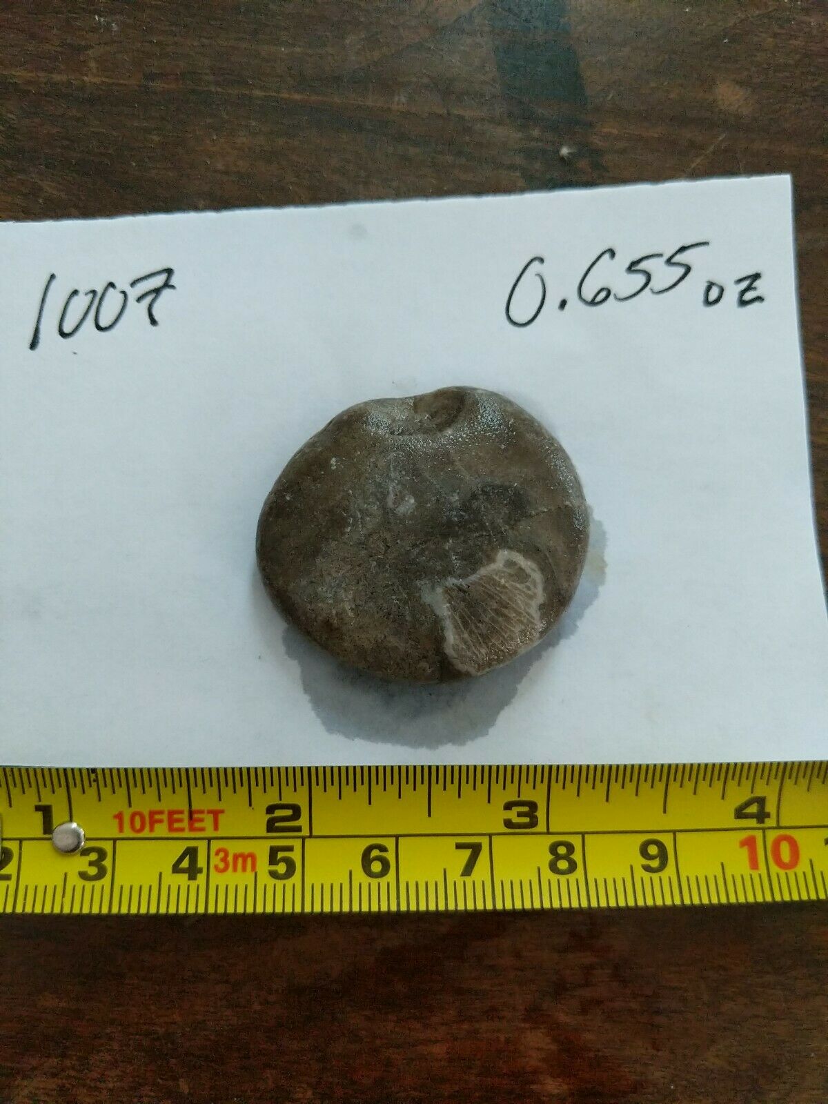 Petoskey Stone - Unpolished - Hexagonaria Coral Fossil Michigan State Stone 1007