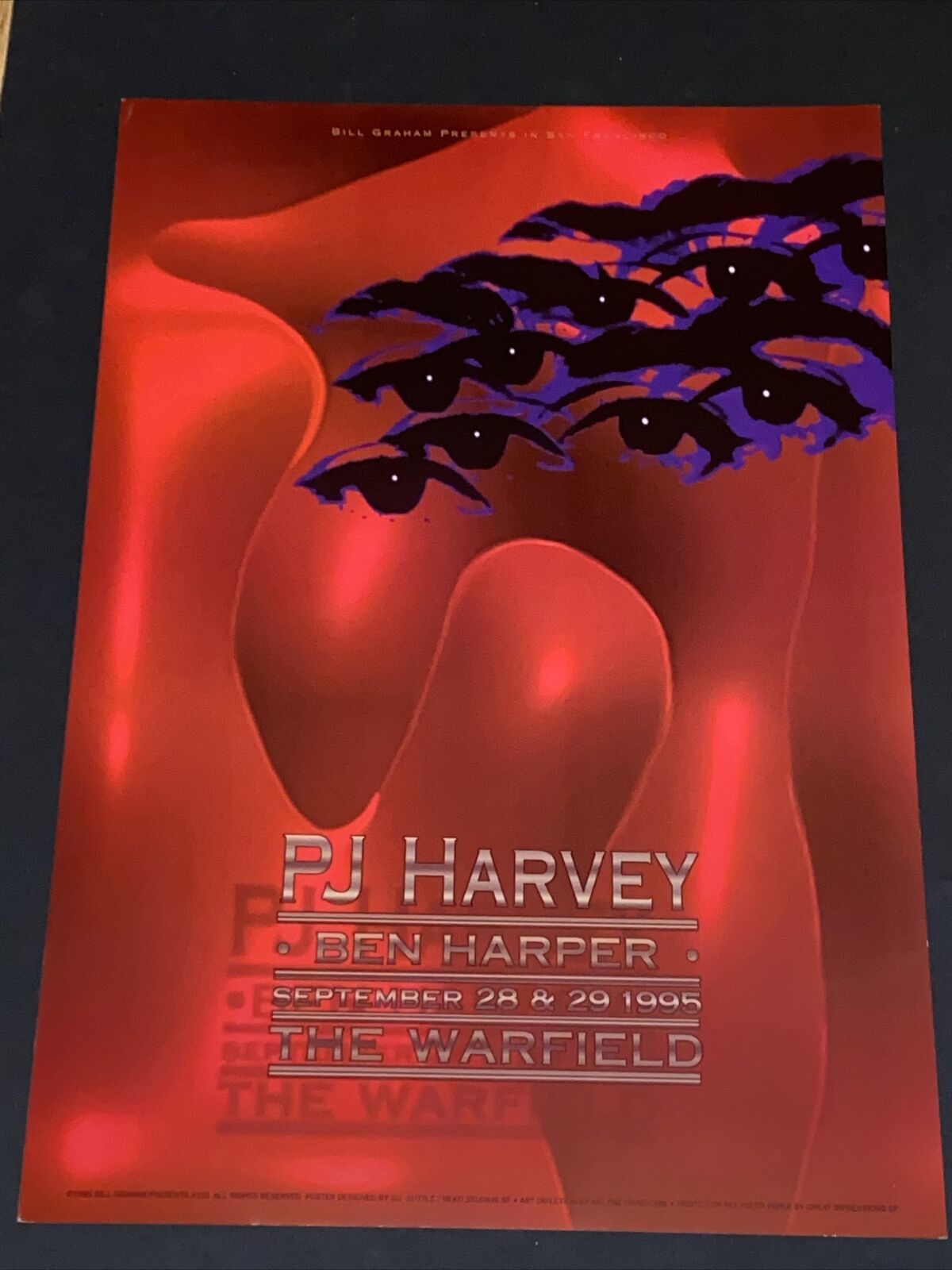 PJ Harvey Ben Harper Original Concert Poster Warfield 1995 BGP